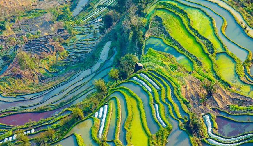 宝妈必备神器：大英县产品视频拍摄轻松育儿好帮手