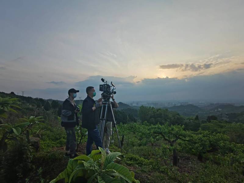 创意破圈！大英县电商产品宣传视频用故事化叙事引爆流量