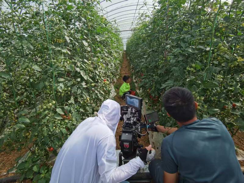 大英县产品宣传视频拍摄公司进阶指南，助力品牌抢占传播高地